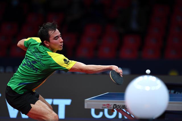 显示了组织 显示了组织